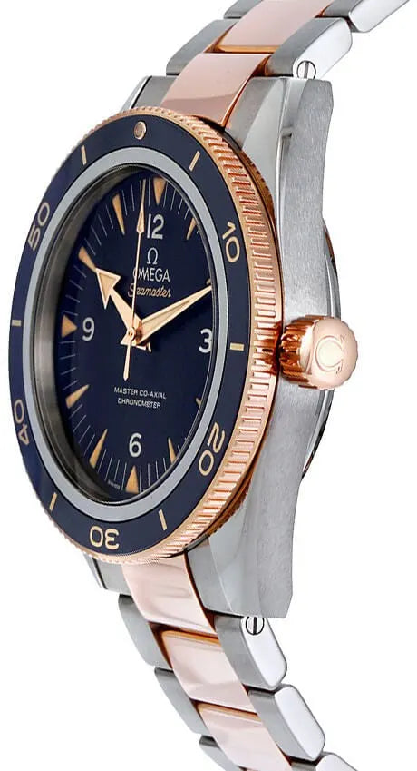 Omega Seamaster Blue Two-Tone - Hình 2