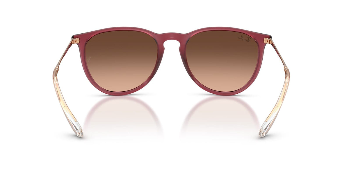 Ray-Ban Erika RB 4171 6815/A5