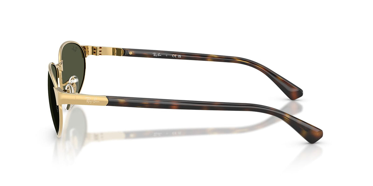 Ray-Ban RB 3777 001/31