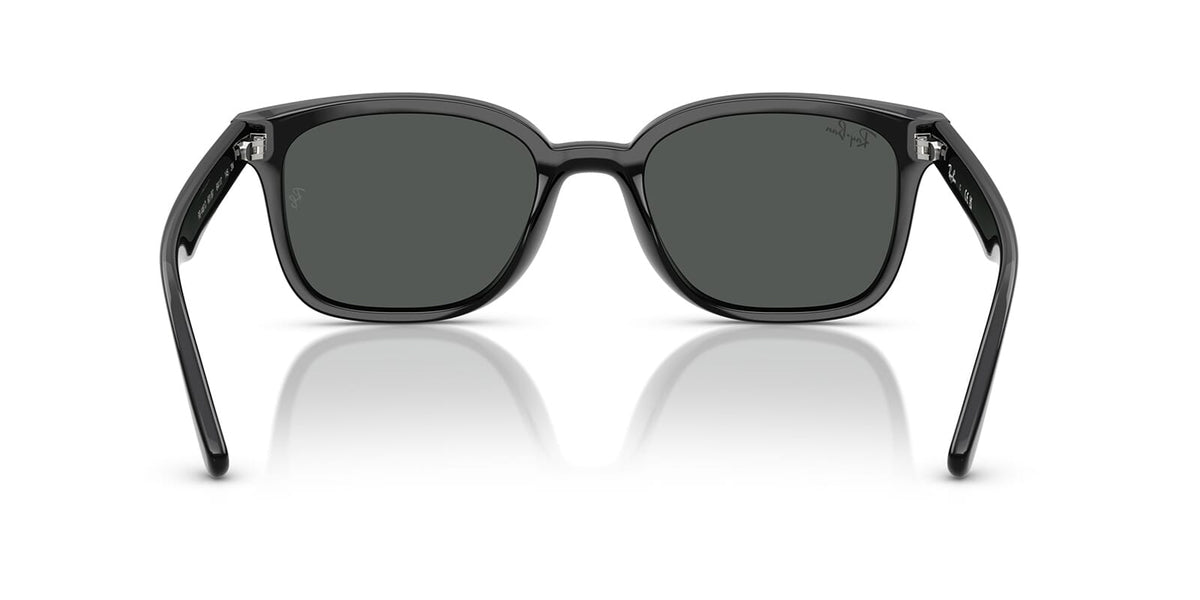 Ray-Ban RB 4461D 601/87